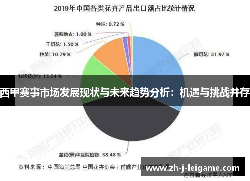 西甲赛事市场发展现状与未来趋势分析：机遇与挑战并存
