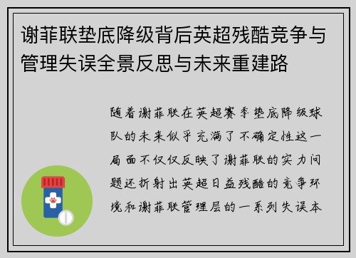 谢菲联垫底降级背后英超残酷竞争与管理失误全景反思与未来重建路 谢菲联垫底降级背后英超残酷竞争与管理失误全景反思与未来重建路